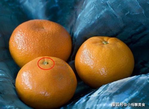 橘子上面有個(gè)小機(jī)關(guān)，甜不甜一眼就識(shí)破，不懂的人趕快學(xué)起來(lái)！