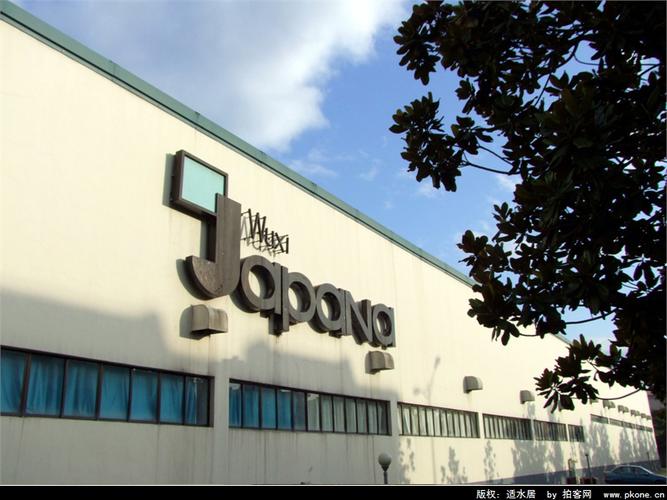 外商獨資與合資 外商投資企業(yè)的利弊分析與選擇策略