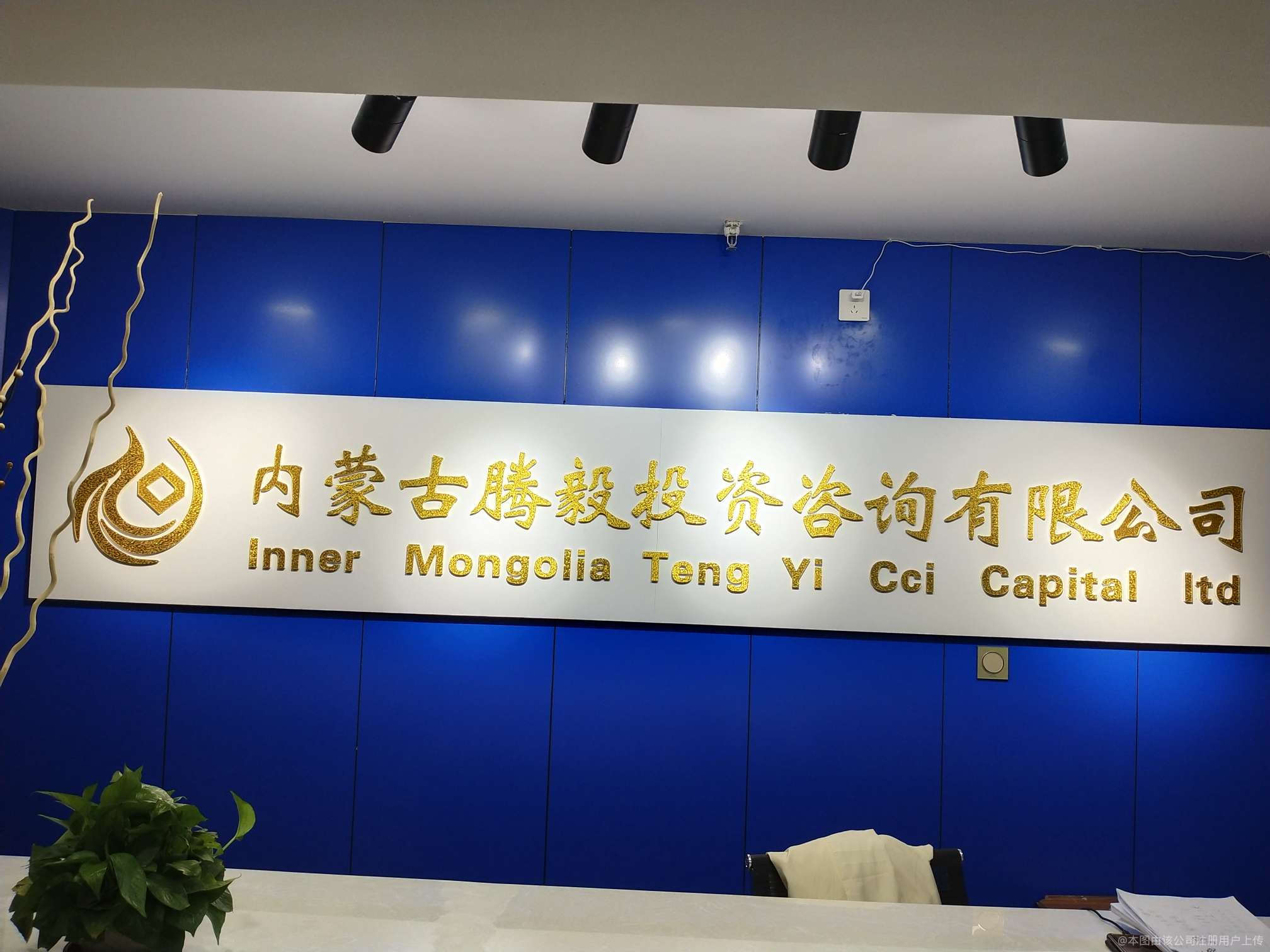 騰毅投資咨詢 您的專業(yè)投資智囊，助力財富穩(wěn)健增長